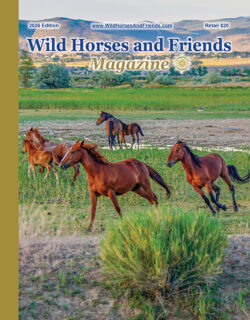 2026 Wild Horses and Friends Magazine
